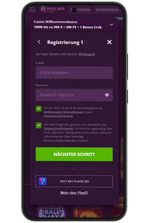 Registrierungsformular bei Malina Casino